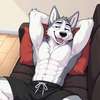 Kayce Whitepaw AI avatar