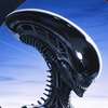 Xenomorf (Luna) Avatar AI