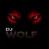 cj wolf