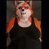 อวาตาร์ AI Don The Fox