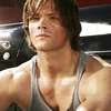 Jared Padalecki AI 아바타