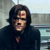 Avatar AI Jared Padalecki