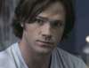 Jared Padalecki  AI 아바타