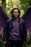 Jared Padalecki  AI avatar