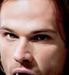Jared Padalecki Avatar de IA