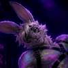 Bunny AI-avatar