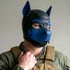 Pup Arthur AI-Avatar