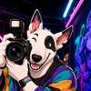 Paxxilo Starflash ai avatar