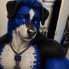Tasgall Pawprint Avatar AI