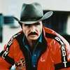 bandit