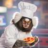 chef marmoset