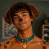 Scoob AI avatar
