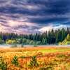 Hệ Thống Luân Hồi: DragonBorn Hình đại diện AI