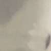 kevin