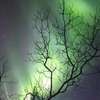 everlin