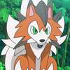 dusk lycanroc