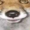 Foxa Fox Fexi ai avatar