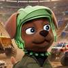 Boomer Avatar de IA