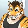 tigre