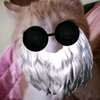Gato insano Avatar de IA