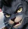 Noctis “Black Cat” Varela Avatar de IA