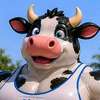 Jared pooltoy na Toro ai avatar