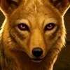 Schakal Maik, Wolf Sebastian  Avatar de IA