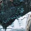 Daenerys, Drogon at Jon. ai avatar