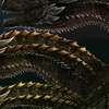 Rhaegal, Drogon, Viserion. AI avatar