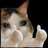linh