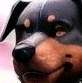 อวาตาร์ AI Cody Dozer
