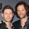Jared and Jensen  Avatar AI
