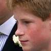Prinsipe William at Prinsipe Harr ai avatar