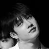 Bangchan AI avatar