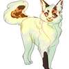 speckstar