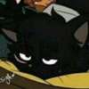 Mha as cats Avatar AI