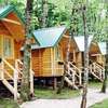 Conversion Camp AI 아바타