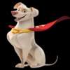 Krypto  AI avatar