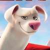 Krypto  Avatar AI