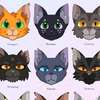 warrior cats Hình đại diện AI