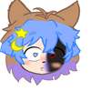 galaxy fox 