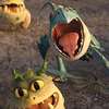 อวาตาร์ AI Your baby dragon