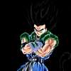 gogetto 