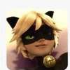 Avatar AI Cat Noir