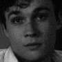 Mattheo Riddle Avatar de IA