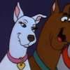 Scooby Dee AIアバター