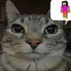 Miau ai avatar