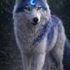 อวาตาร์ AI Kaelen Vesper