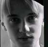 Tom Felton at isang babaeng mang-aawit ai avatar