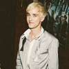 Tom Felton (Panahon ng Gintong Dangal 💋) ai avatar